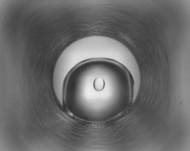 X0000060780077200512011650