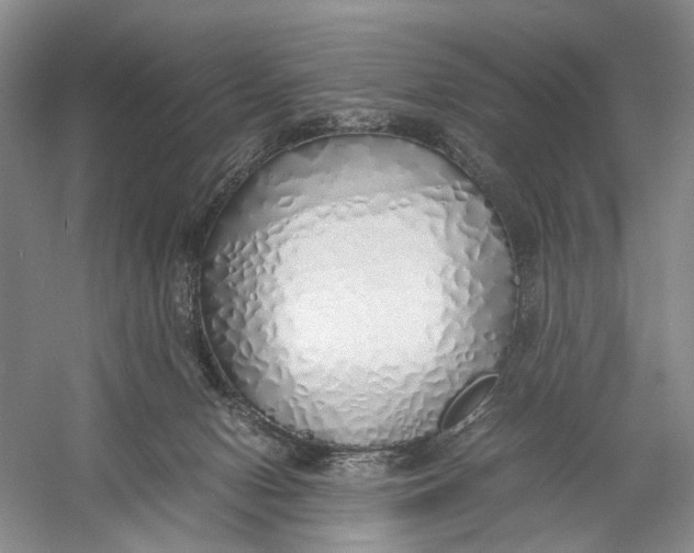 X0000060780078200512011650