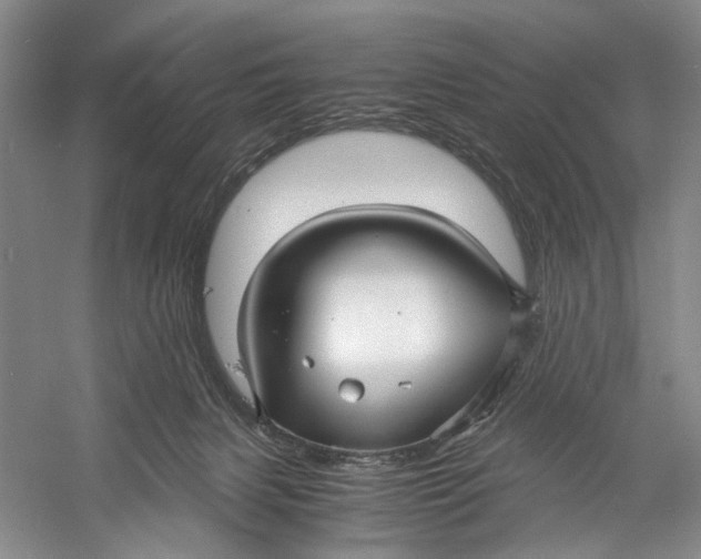 X0000060780079200512011650
