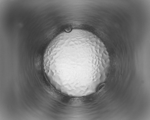 X0000060780082200512011650
