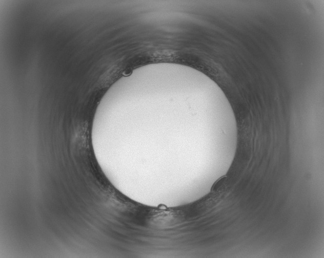 X0000060780083200512011650