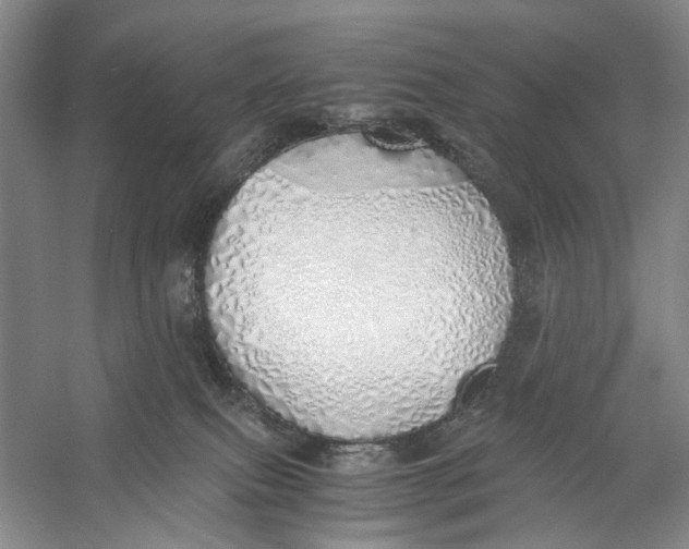 X0000060780087200512011650