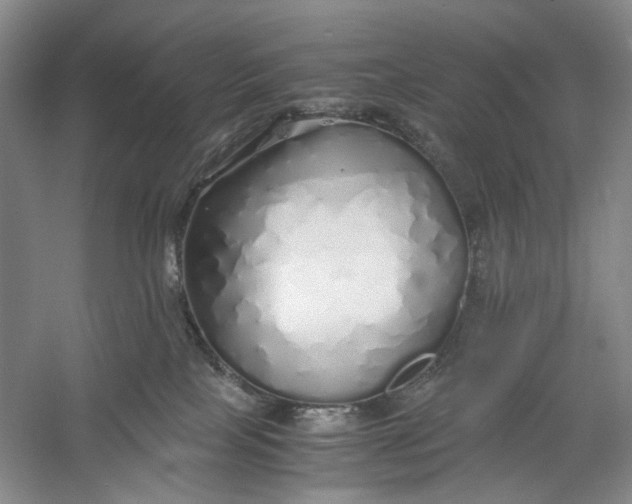 X0000060780089200512011650