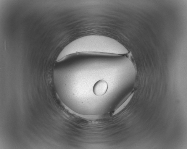 X0000060780091200512011650