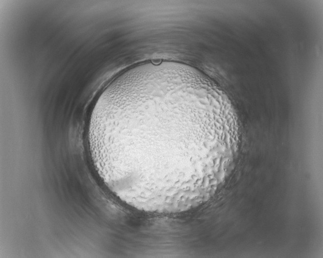 X0000060780098200512011650