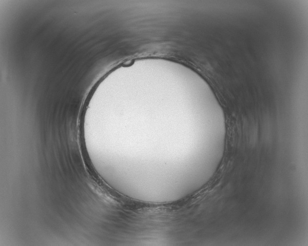 X0000060780100200512011650