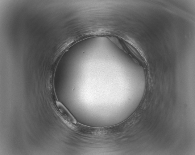 X0000060780105200512011650