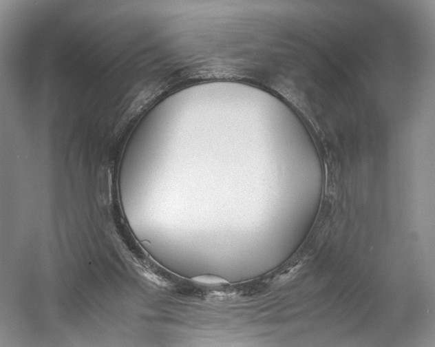X0000060780109200512011649