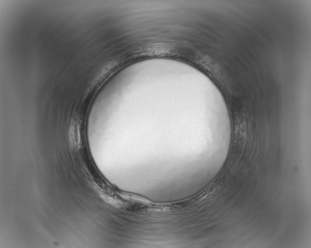 X0000060780110200512011649