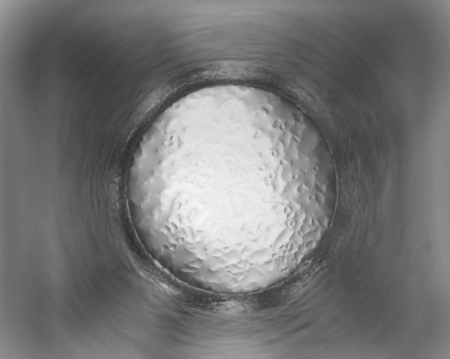 X0000060780111200512011649