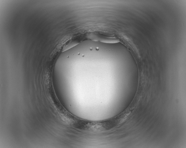 X0000060780113200512011649