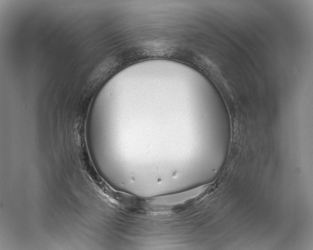 X0000060780114200512011649