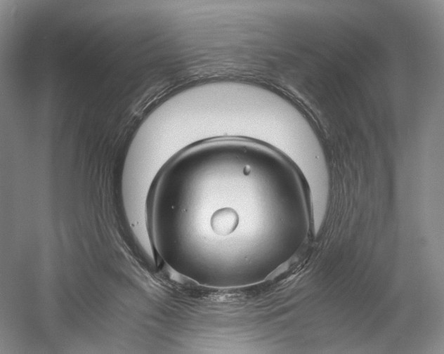 X0000060780117200512011649