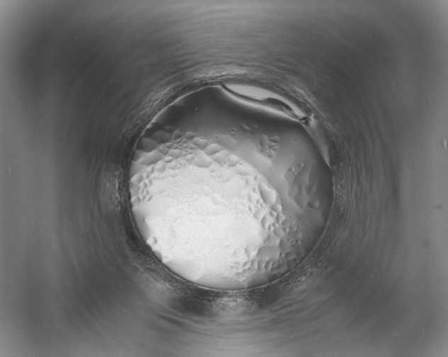 X0000060780119200512011649