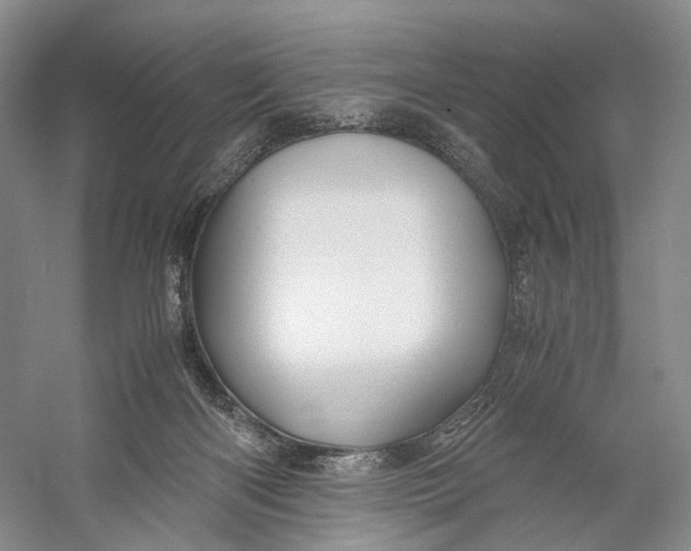 X0000060780122200512011649