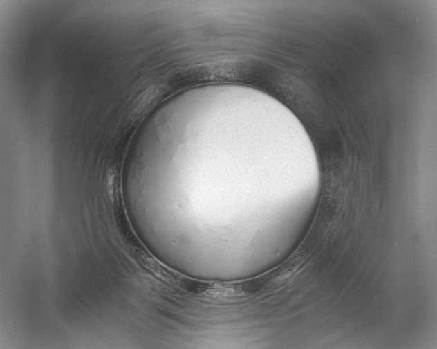 X0000060780123200512011649