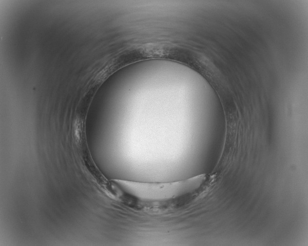 X0000060780125200512011649