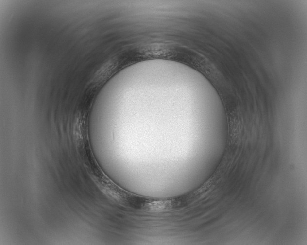 X0000060780126200512011649