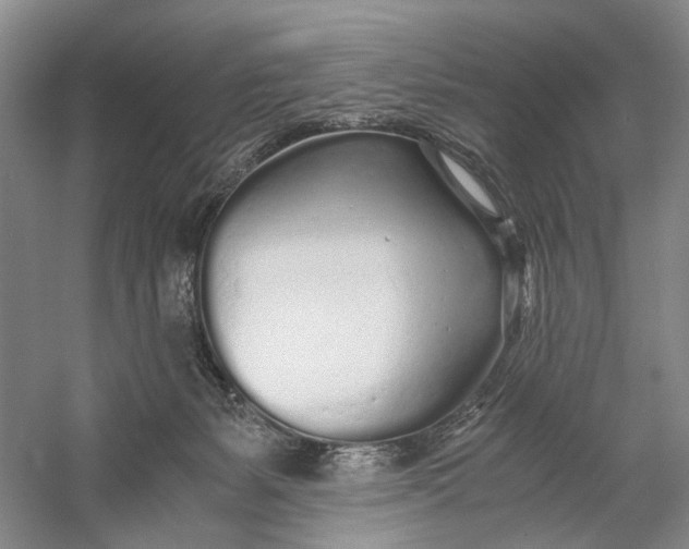 X0000060780127200512011649