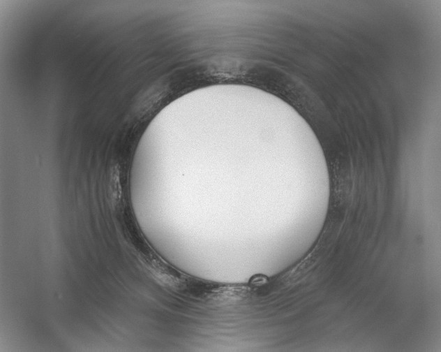 X0000060780128200512011649