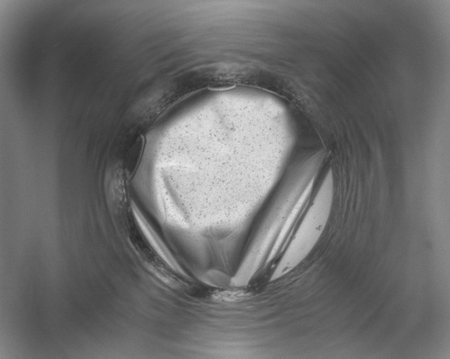 X0000060780137200512011649