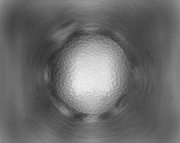 X0000060780138200512011649