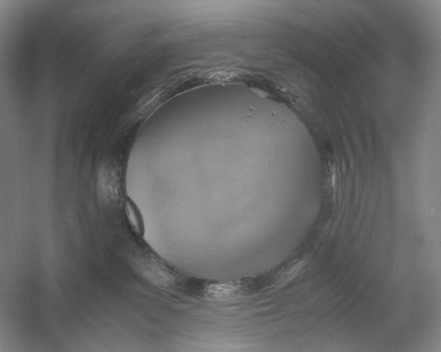 X0000060780139200512011649