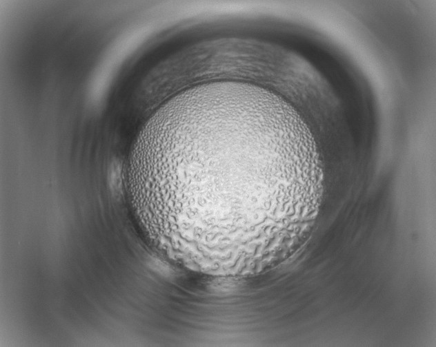 X0000060780142200512011649