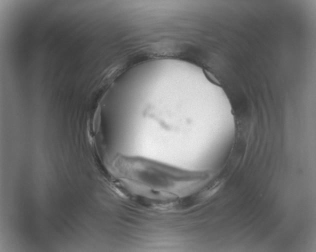 X0000060780143200512011649