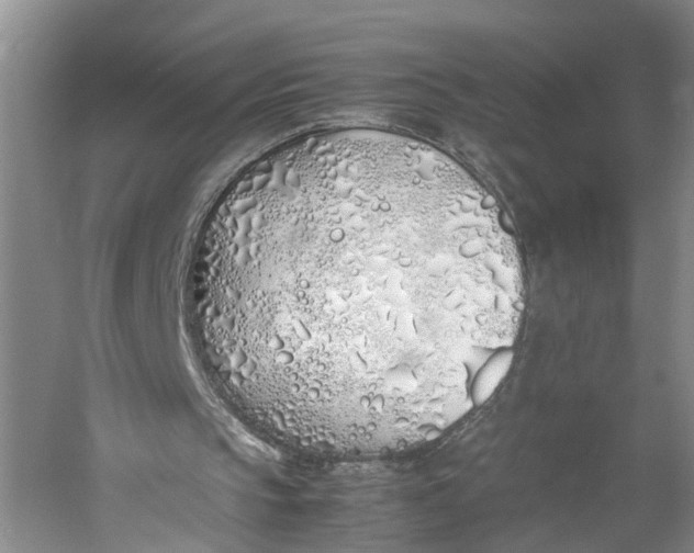 X0000060780145200512011648