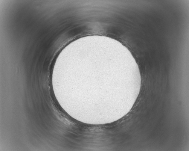 X0000060780146200512011648