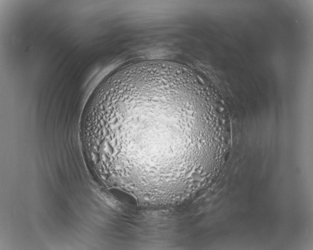 X0000060780147200512011648