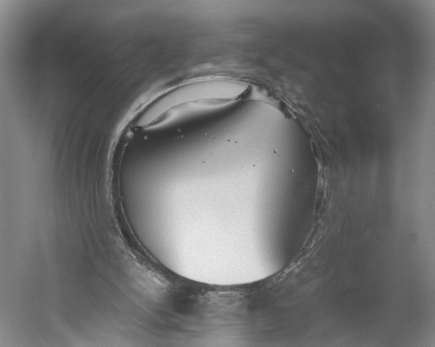 X0000060780150200512011648