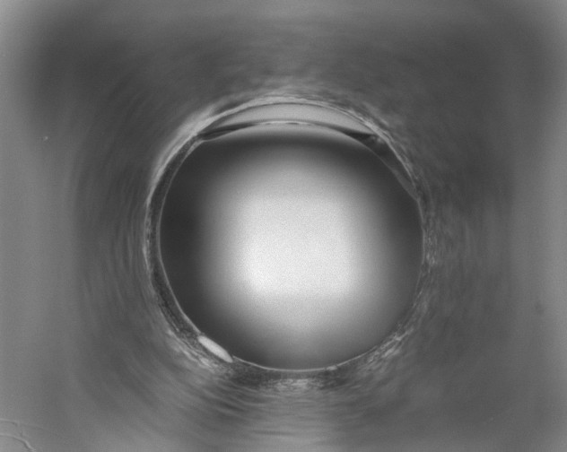 X0000060780152200512011648