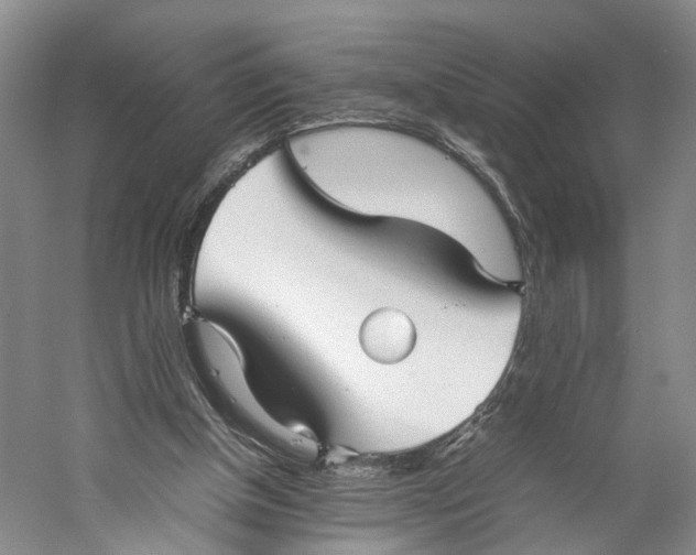 X0000060780154200512011648