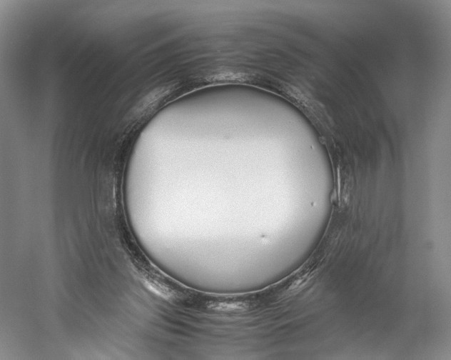 X0000060780157200512011648