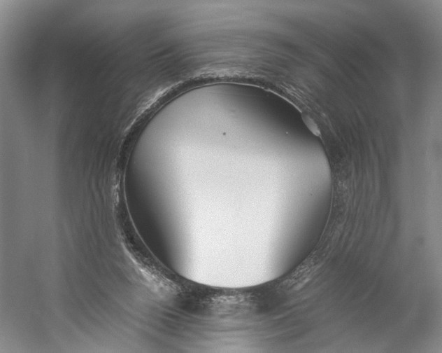 X0000060780160200512011648