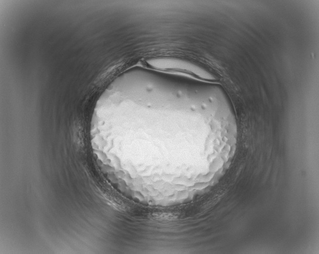 X0000060780161200512011648