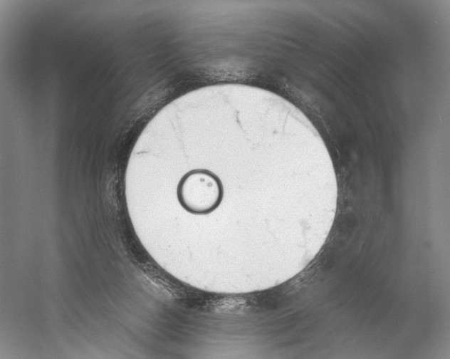X0000060780162200512011648