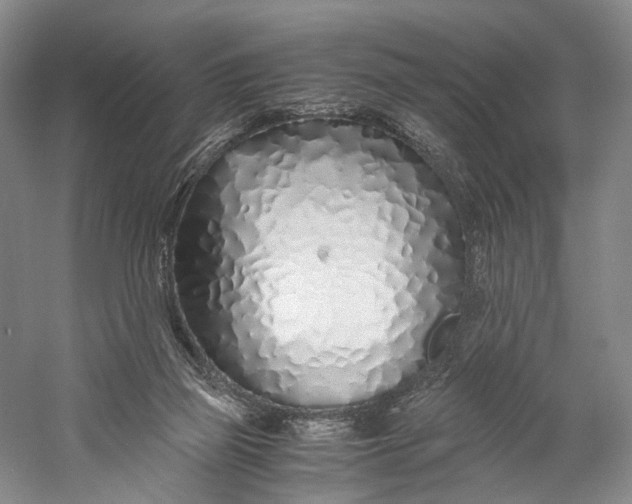 X0000060780165200512011648