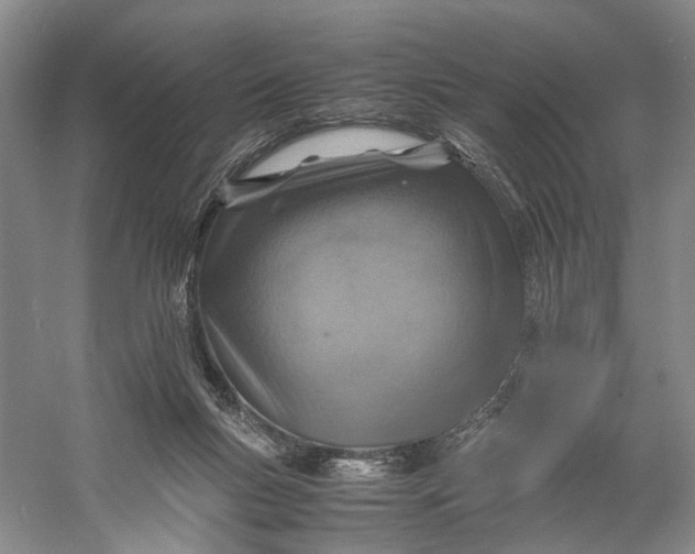 X0000060780167200512011648