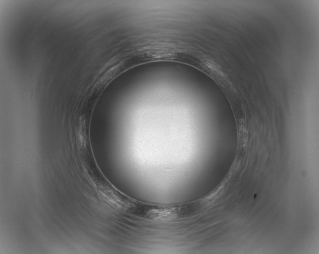 X0000060780170200512011648
