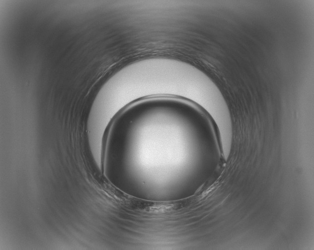 X0000060780172200512011649