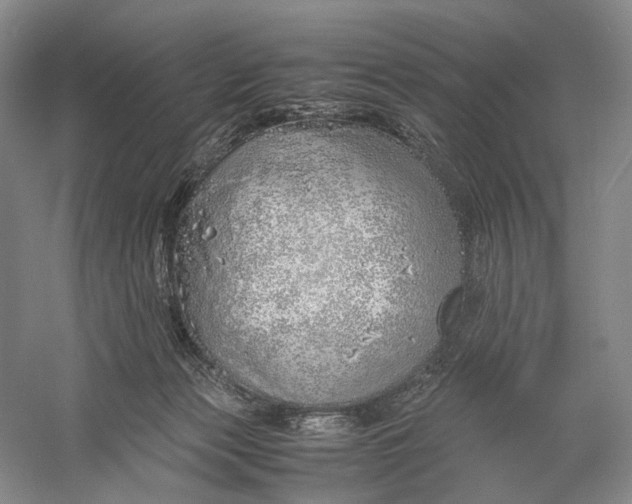 X0000060780173200512011649