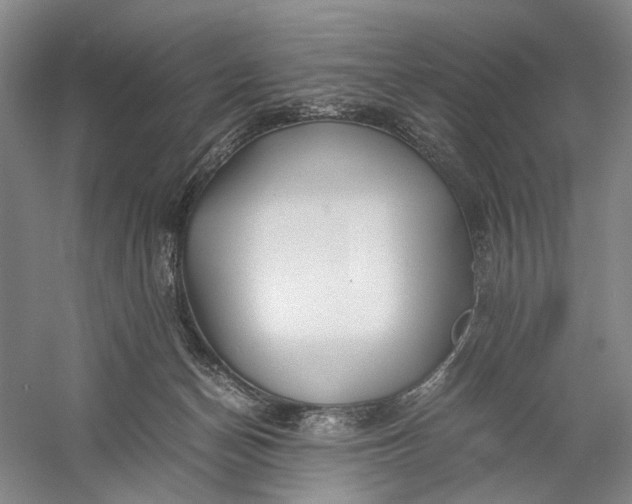X0000060780174200512011649