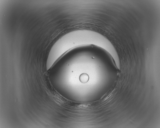 X0000060780176200512011649