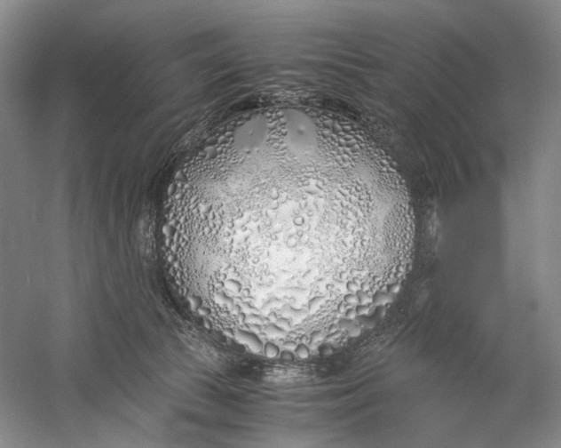 X0000060780177200512011649