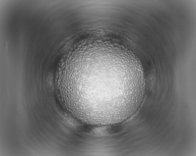 X0000060780178200512011649