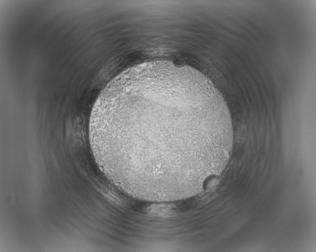 X0000060780179200512011649