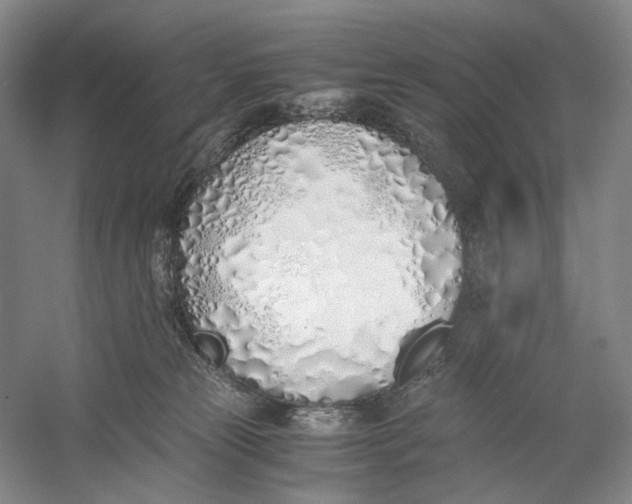 X0000060780181200512011649